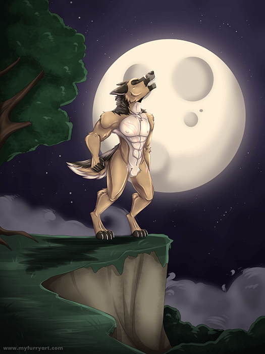 Furry Art Commission drawing german shepherd full body
